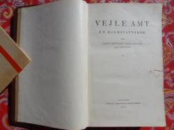 Billede af bogen Vejle Amt. En hjemstavnsbog