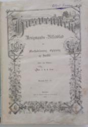 Billede af bogen   Husvennen. Billedblad for Morskabslæsning Oplysning og Husflid 1875 - 1876
