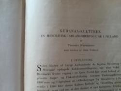 Billede af bogen Gudenaa-kultur en mesolitisk indlandsbebyggelser i Jylland 