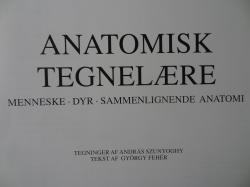 Billede af bogen ANATOMISK TEGNELÆRE