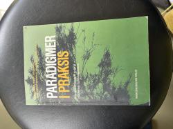 Billede af bogen Paradigmer i Praksis