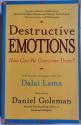 Billede af bogen Destructive emotions. How can we overcome them? A scientific dialogue with Dalai Lama