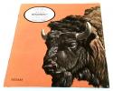 Billede af bogen Ved du det om bisonen?