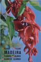 Billede af bogen Madeira - plantas e flores