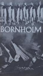Billede af bogen BORNHOLM - TURISTÅRBOGEN 1971 