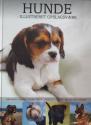 Billede af bogen Hunde - illustreret opslagsværk : køb -racer-sundhed-sygdom-fodring-pelspleje-træning-adfærd-avl-opdræt