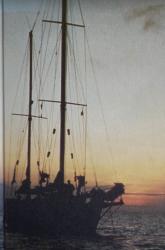 Billede af bogen Syd om solen: Anden søforklaring: Skrevet på havet og på Tahiti – 1981-82