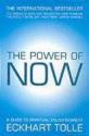 Billede af bogen The Power of Now: A Guide to Spiritual Enlightenment
