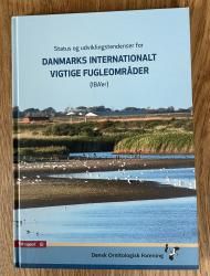 Billede af bogen Status og udviklingstendenser for Danmarks internationalt vigtige fugleområder	