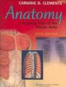Billede af bogen Anatomy